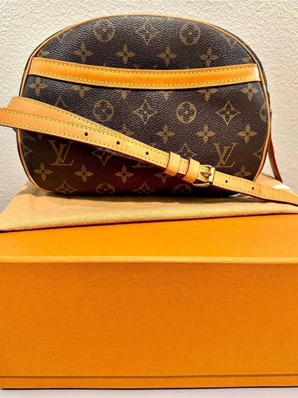 Louis Vuitton Blois Monogram Crossbody Bag in Brown & Tan